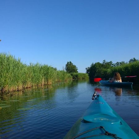 B&B De Zilverreiger Belt-Schutsloot Εξωτερικό φωτογραφία