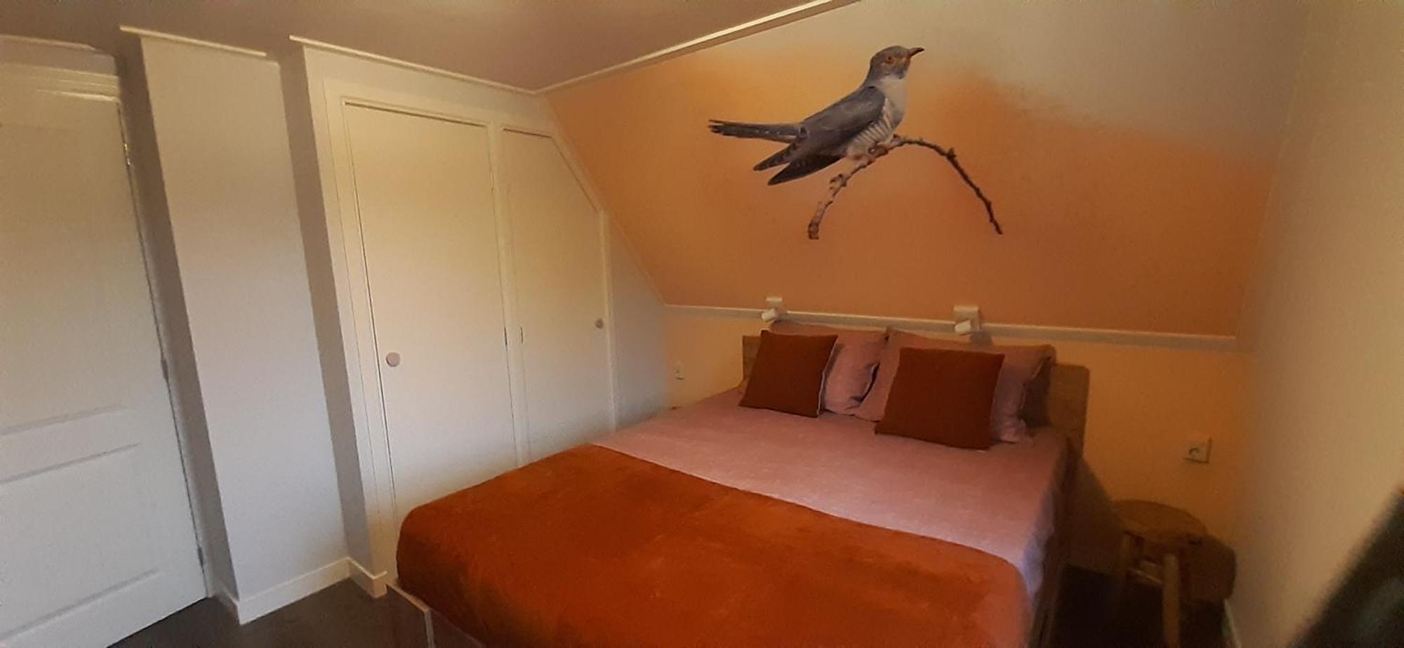 B&B De Zilverreiger Belt-Schutsloot Εξωτερικό φωτογραφία