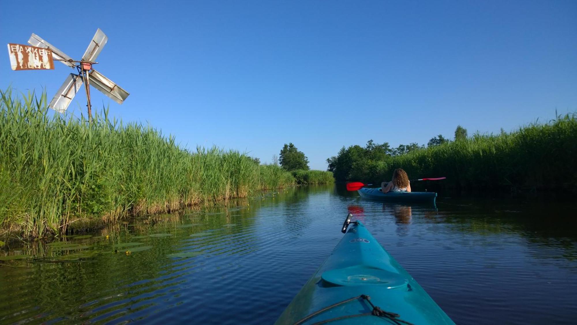 B&B De Zilverreiger Belt-Schutsloot Εξωτερικό φωτογραφία